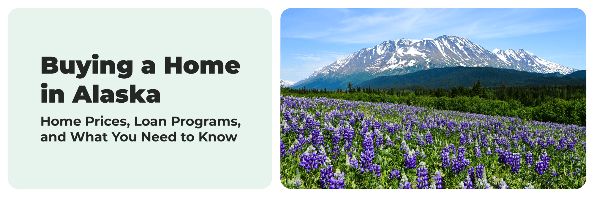 Alaska-States-Banner Alaska-States-Banner