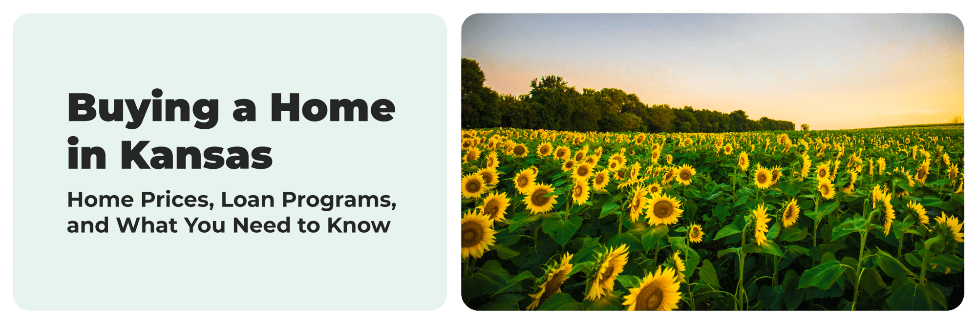 Kansas-States-Banner