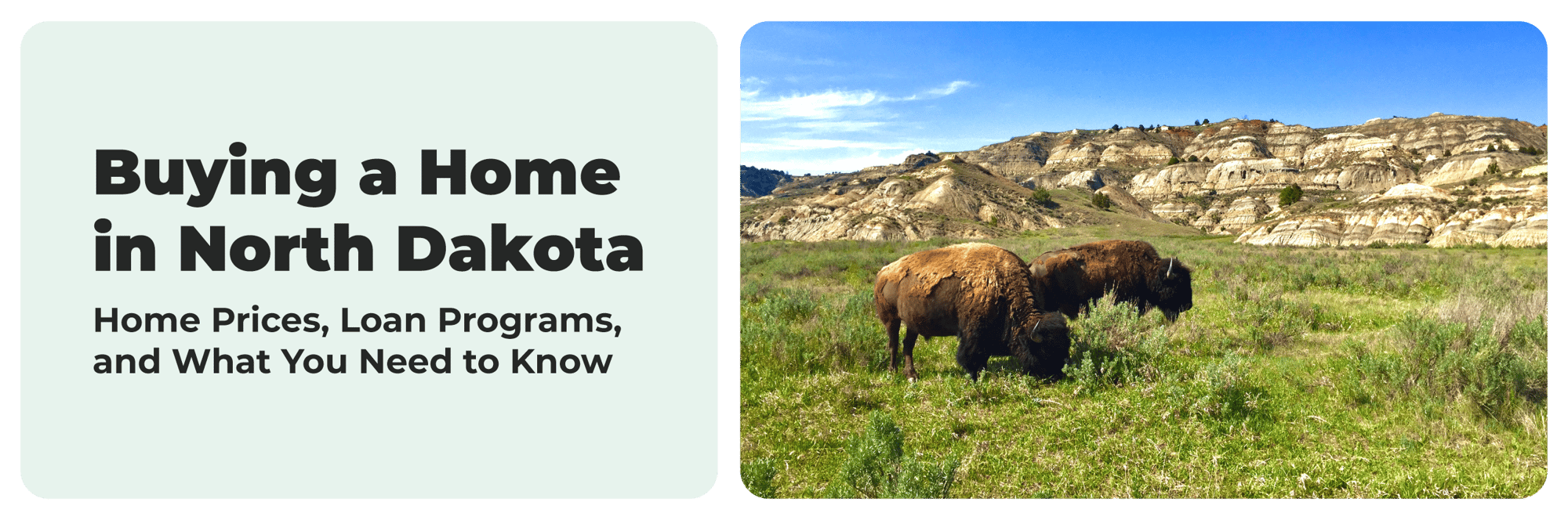 North-Dakota-States-Banner North-Dakota-States-Banner