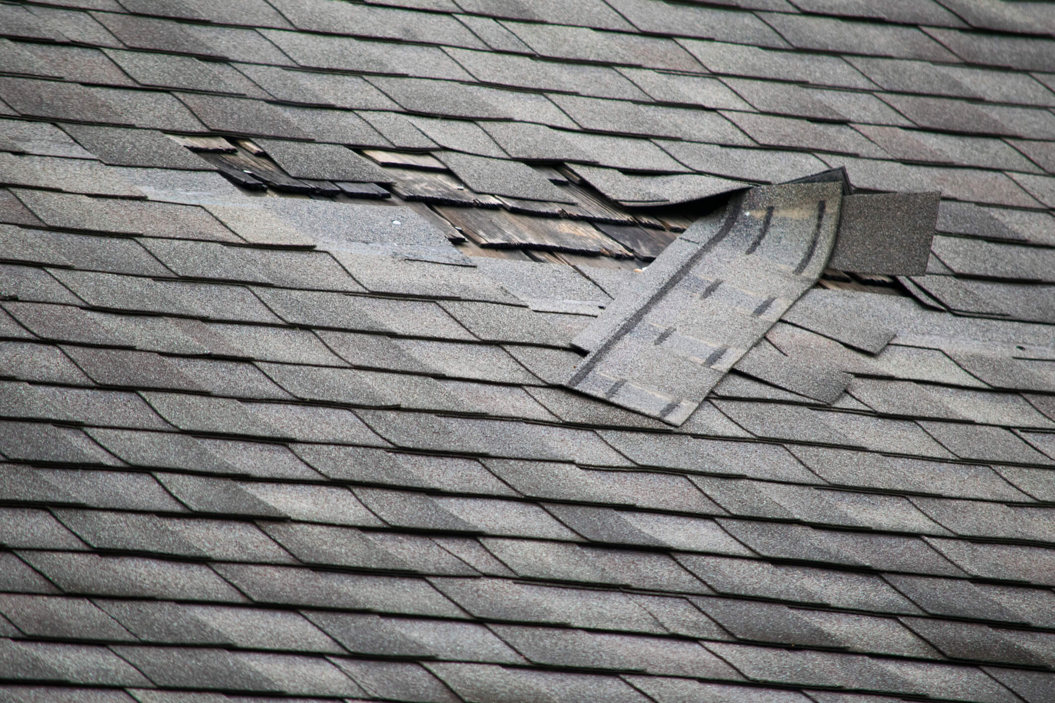 Roof Image Blog Compressed