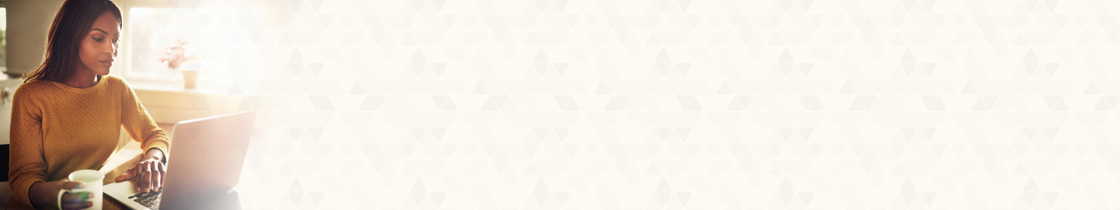 No-Score-Loans-Banner-2-wide