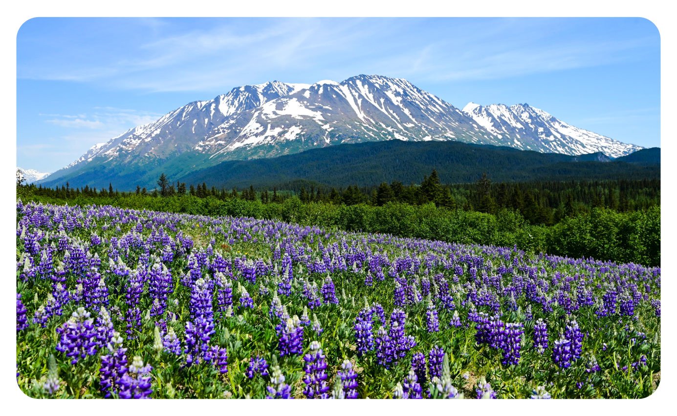 Alaska-States-Banner