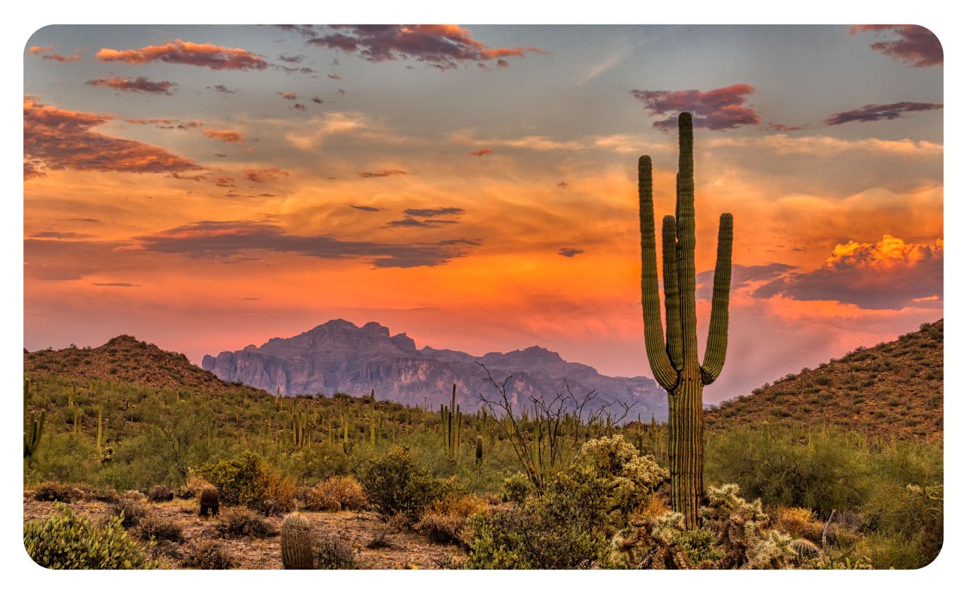 Arizona-States-Banner Arizona-States-Banner