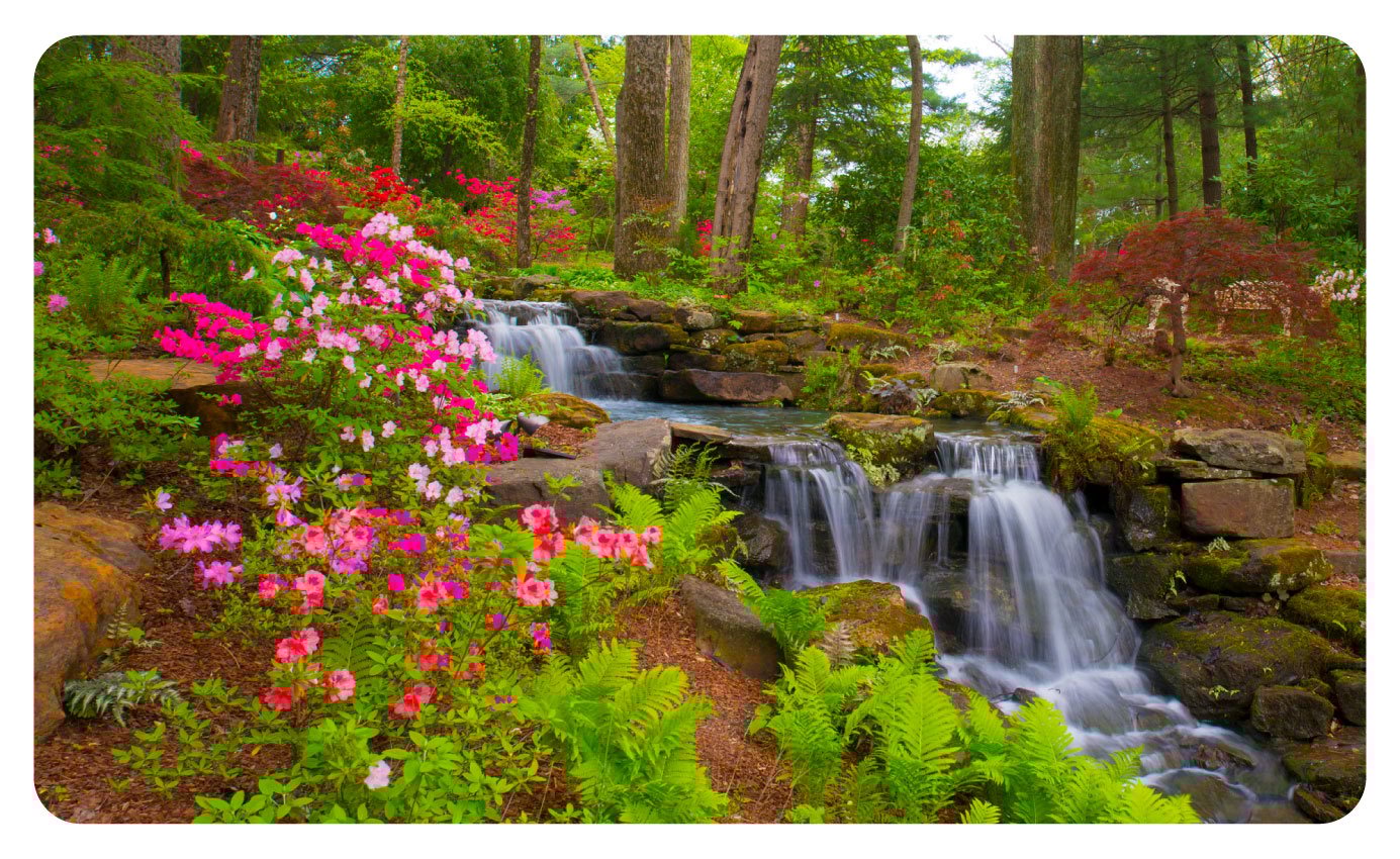 Indiana-States-Banner