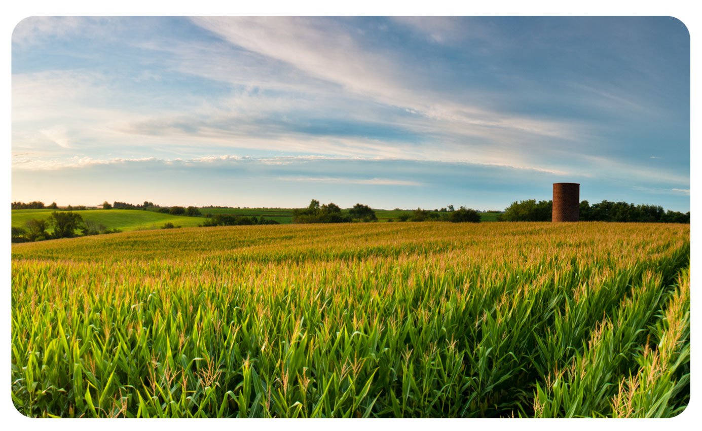 Iowa-States-Banner Iowa-States-Banner