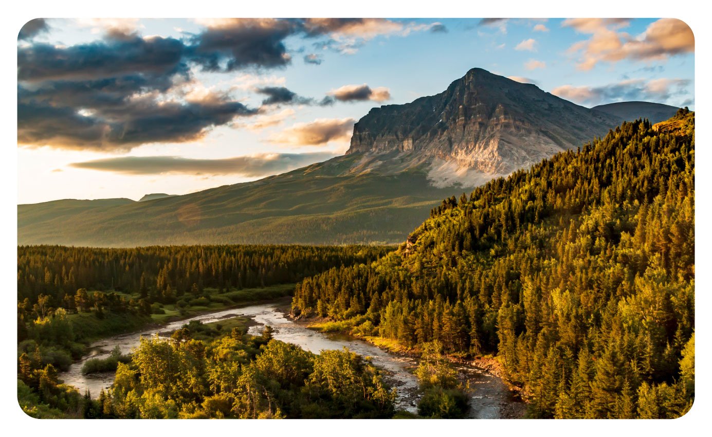 Montana-States-Banner Montana-States-Banner