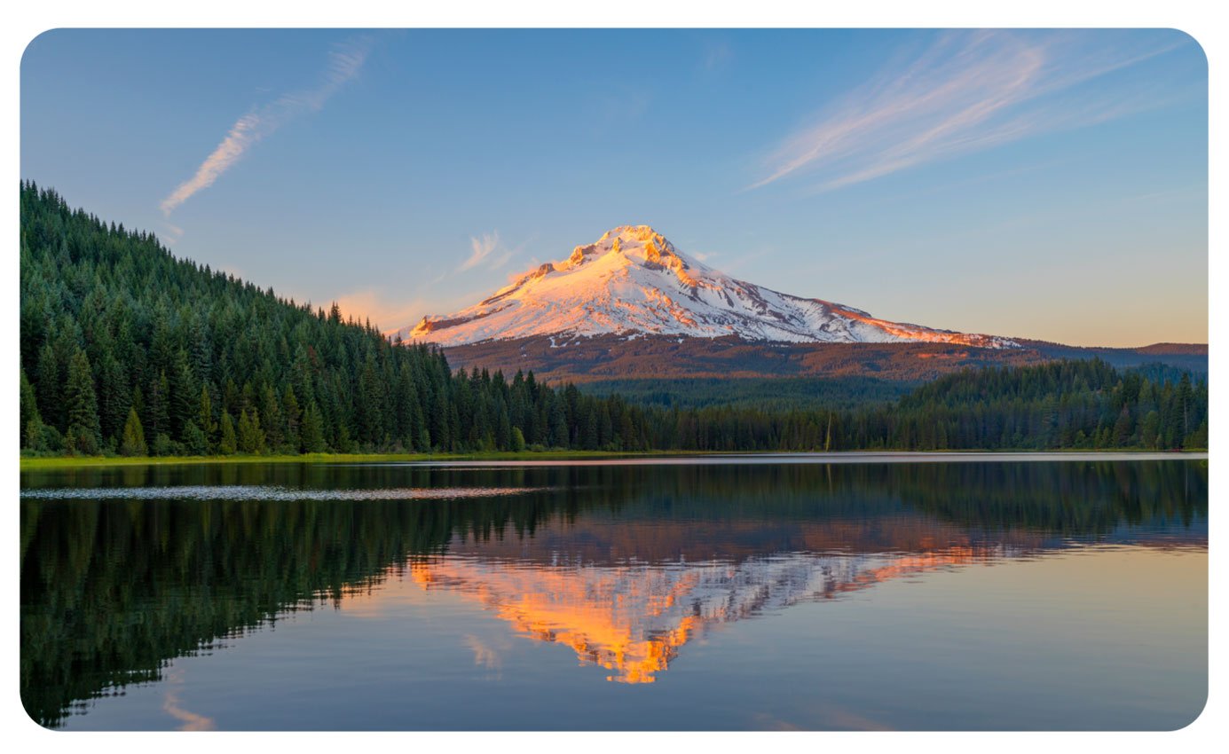 Oregon-States-Banner