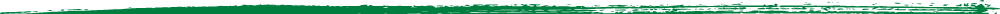 paint-stroke-bottom-darkgreen
