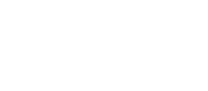 basic-brown-team-logo-white