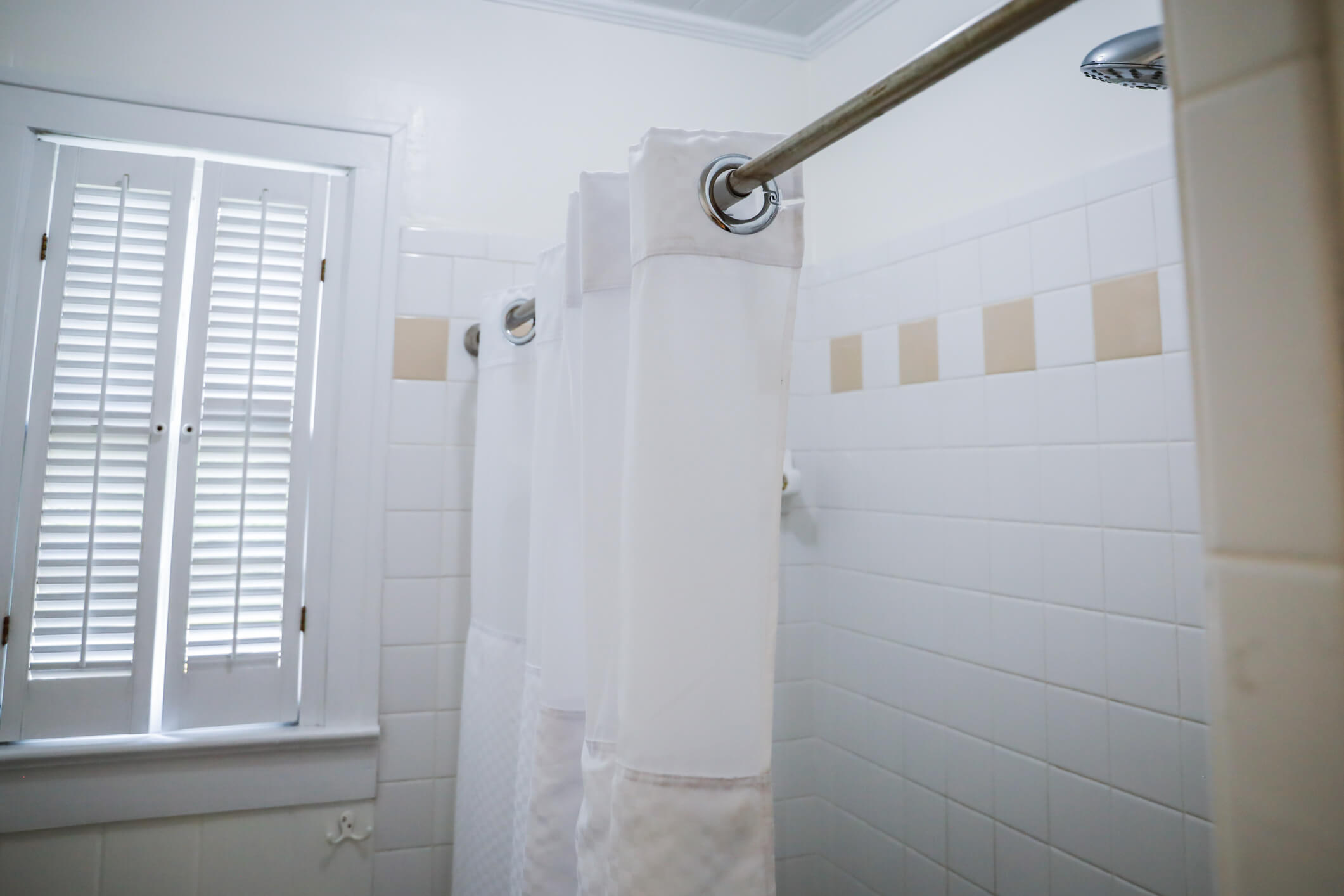 shower curtain